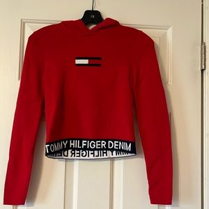 Tommy Hilfiger hooded sweater